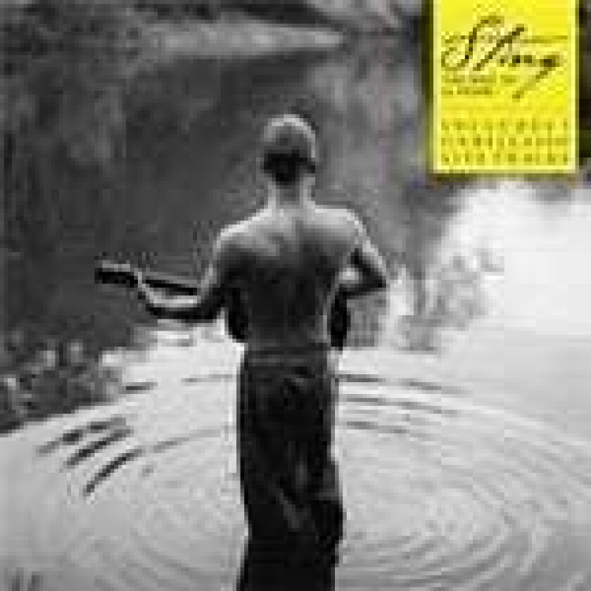 Sting The Best Of 25 Years LP/Vinyl