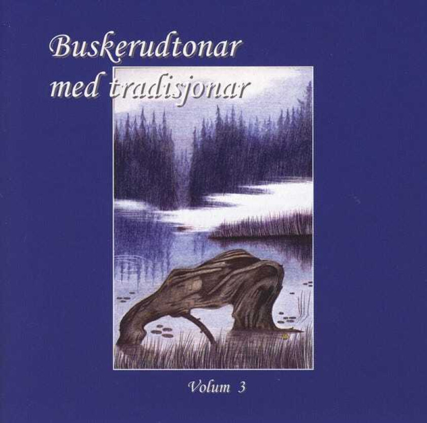 Diverse Norsk Buskerudtonar Med Tradisjonar 3 CD