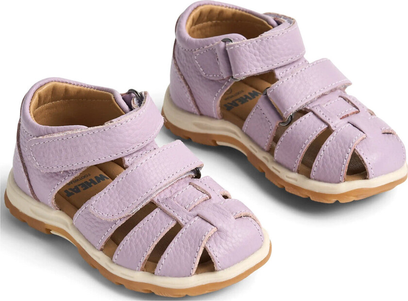Sandal Frei - Purple - 34