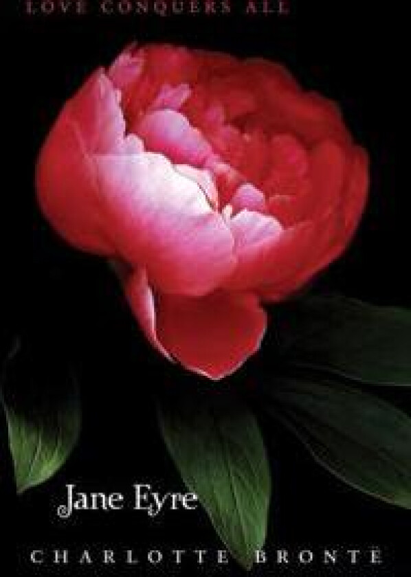 Jane Eyre - Bronte, Charlotte (Heftet), 0062015621