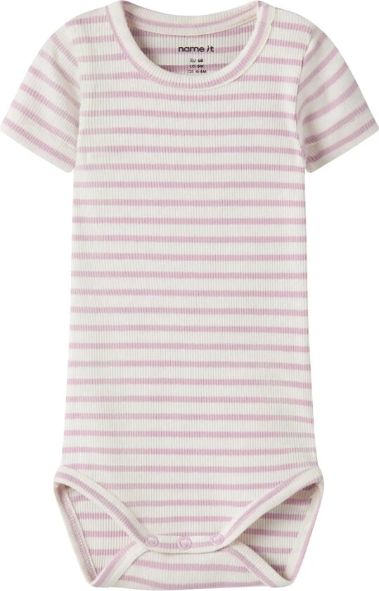 Nbnbani Ss Body Noos - Purple - 86