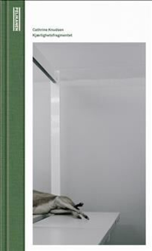 Kjærlighetsfragmentet av Cathrine Knudsen
