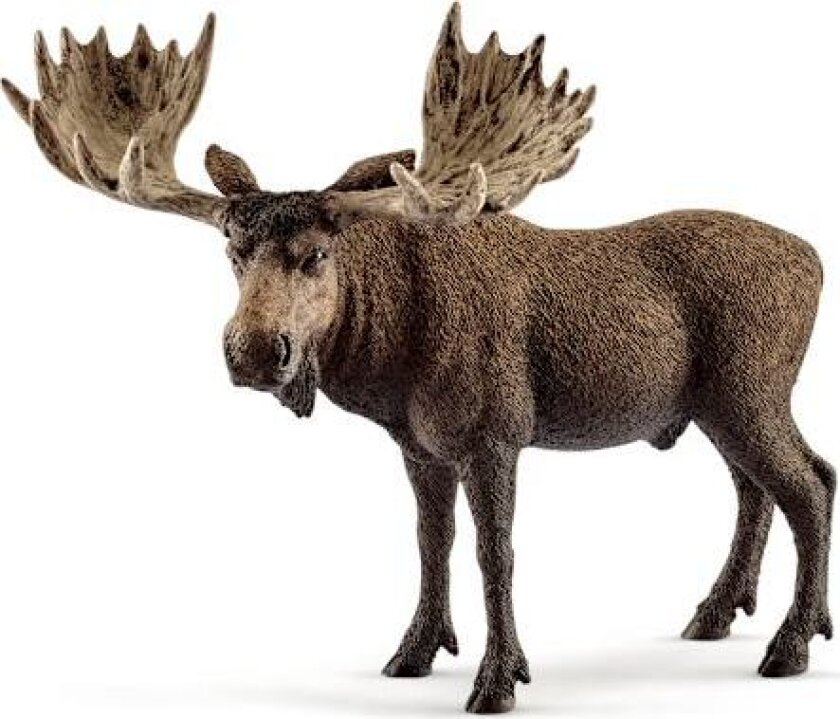 schleich® WILD LIFE Elg Okse 14781 flerfarget_Super Gift multicolor Multifarge