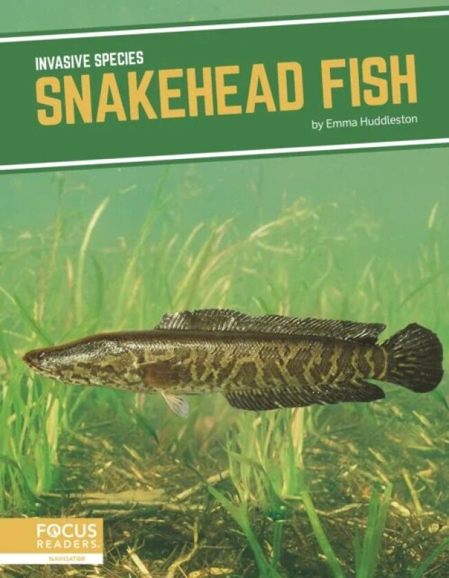 Invasive Species: Snakehead Fish av Emma Huddleston
