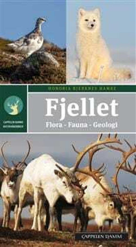 Fjellet av Honoria Bjerknes Hamre