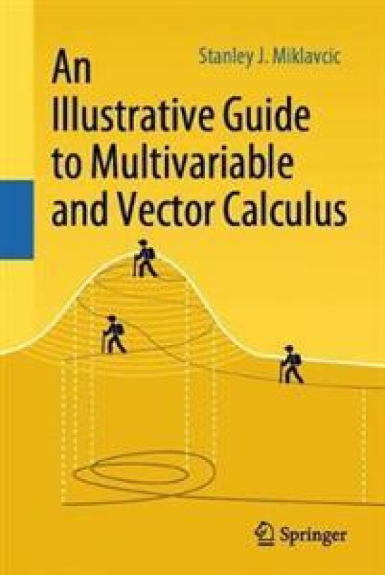 An Illustrative Guide to Multivariable and Vector Calculus av Stanley J. Miklavcic