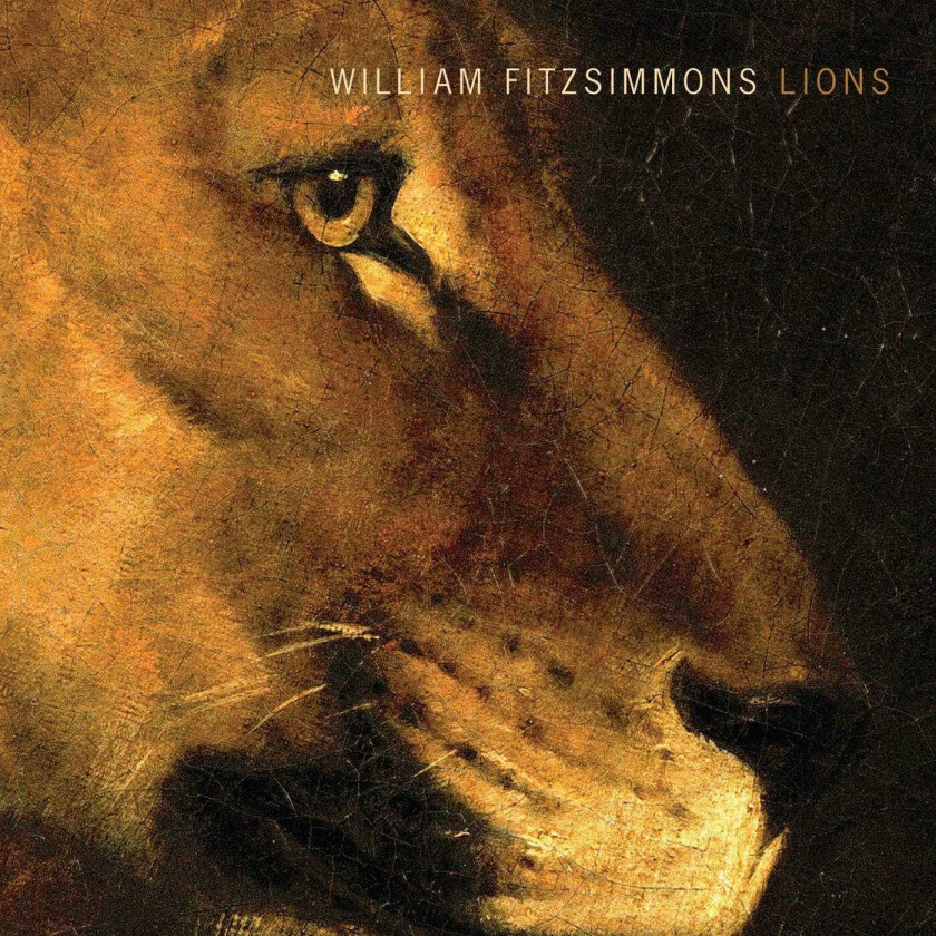 William Fitzsimmons Lions CD