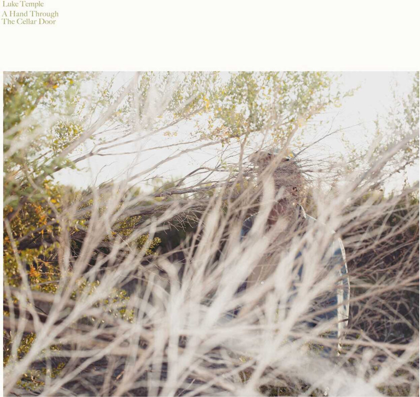 Luke Temple A Hand Through The Celar Door LP/Vinyl