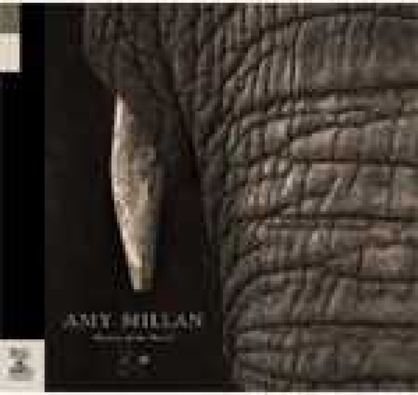 Amy Millan Masters Of The Burial LP/Vinyl