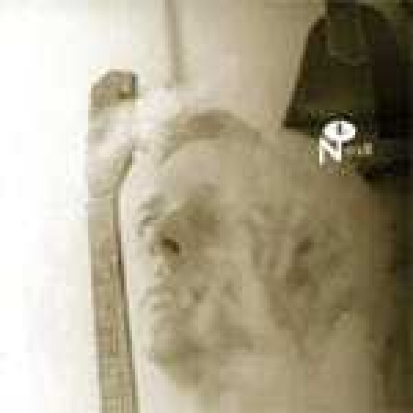 Diverse Artister Wayfaring Strangers: Lonesome Heroes LP/Vinyl