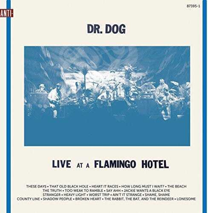Dr. Dog Live At A Flamingo Hotel LP/Vinyl