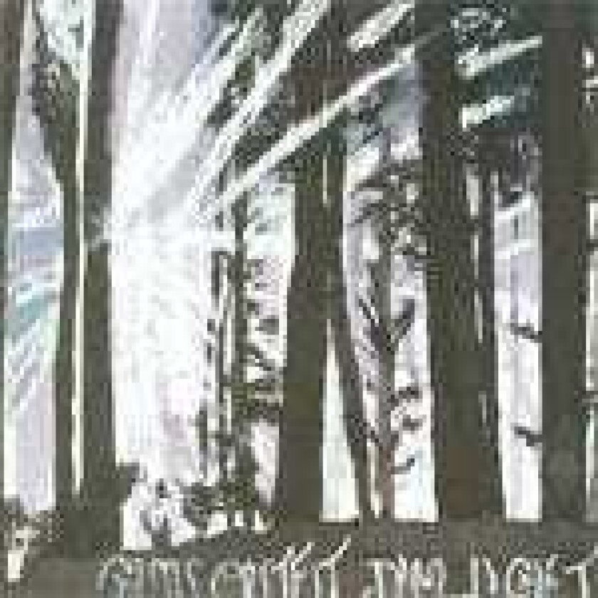 Gun Outfit Dim Light CD