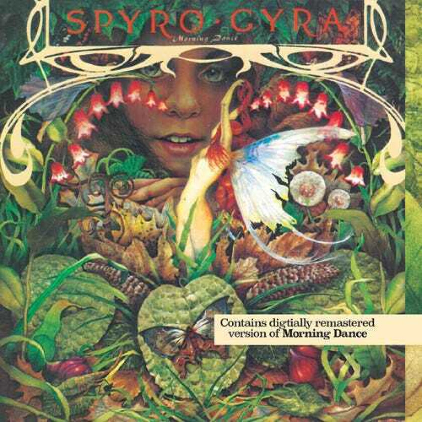 Spyro Gyra Morning Dance CD