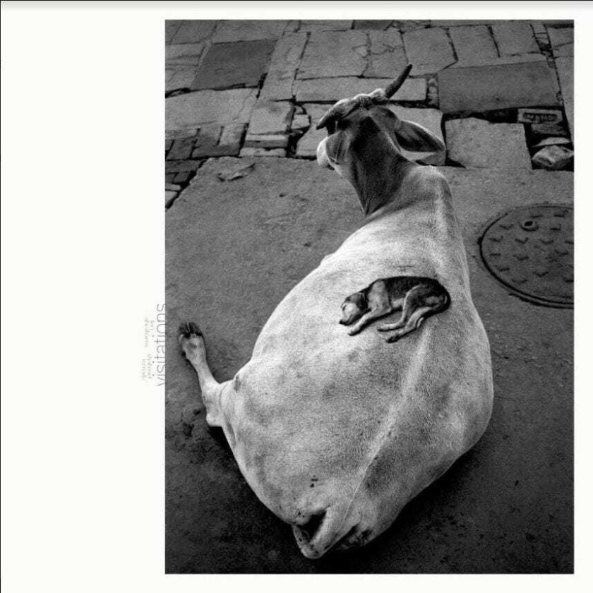 Leo Abrahams & Ismaily Shahzad, LEO ABRAHAMS, Ismaily Shahzad Visitations LP/Vinyl