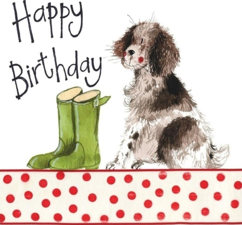 Bursdagskort S100 Dog and Wellingtons