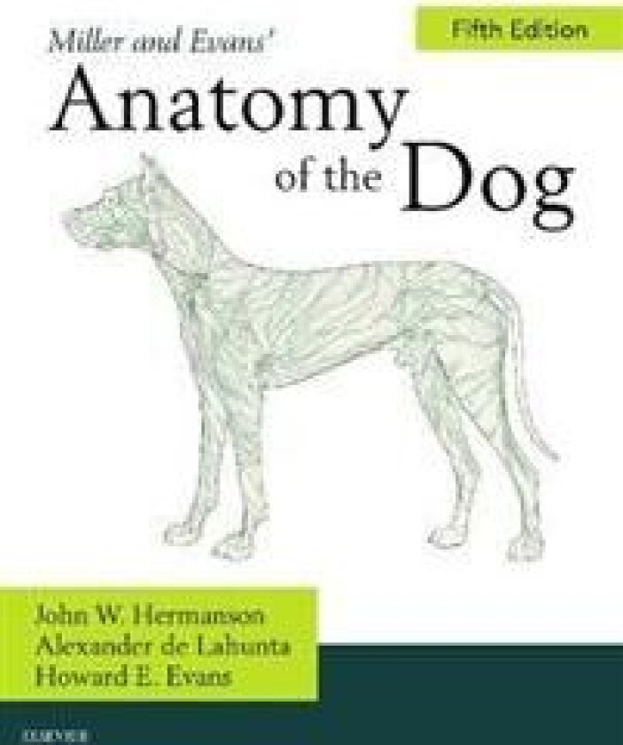 Bilde av Miller&#039;s Anatomy of the Dog av John W. Hermanson, Alexander de Lahunta