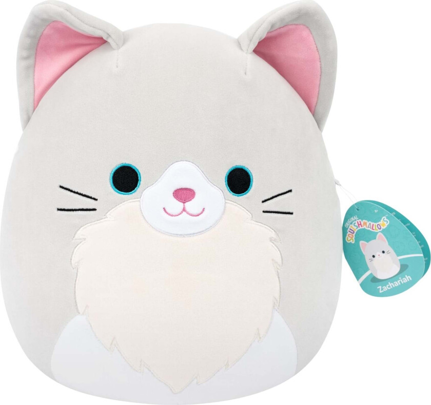 30 cm P26 - Zachariah Cat