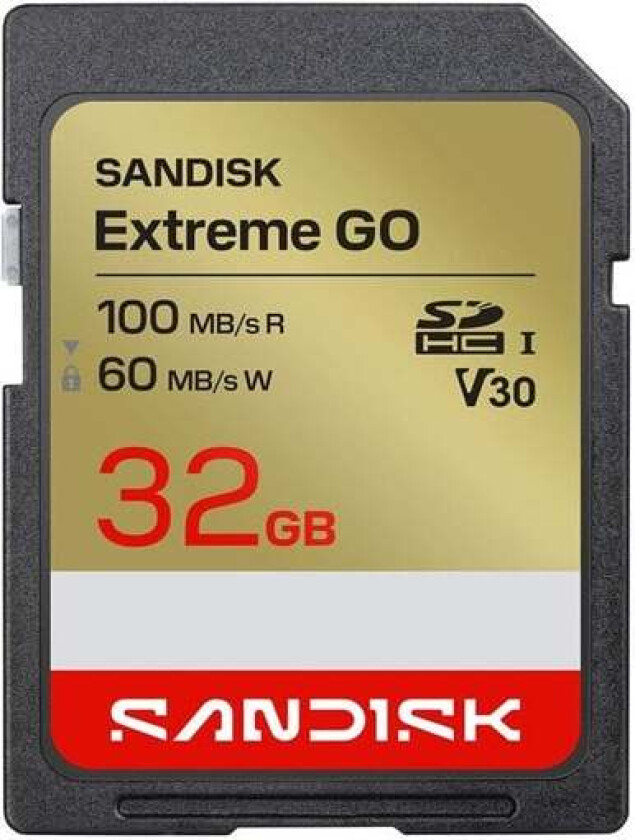 Extreme GO SD - 100MB/s - 32GB