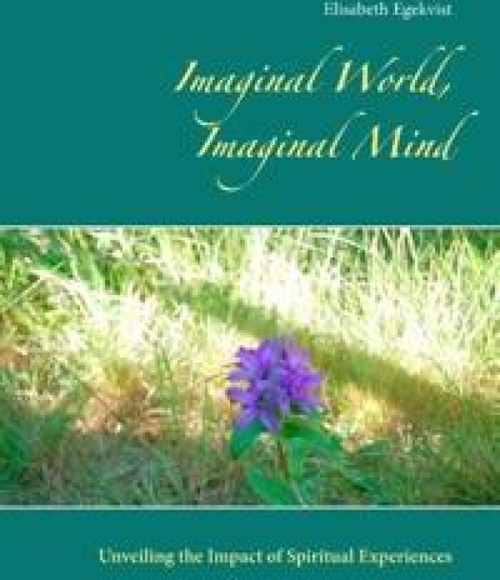 Imaginal World, Imaginal Mind
