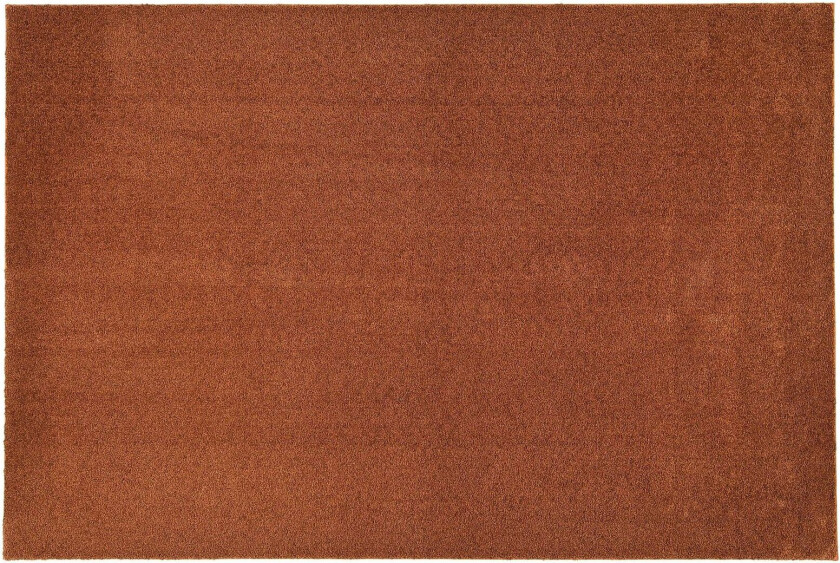Sointu Matte 133x200 cm Terra - VM Carpet