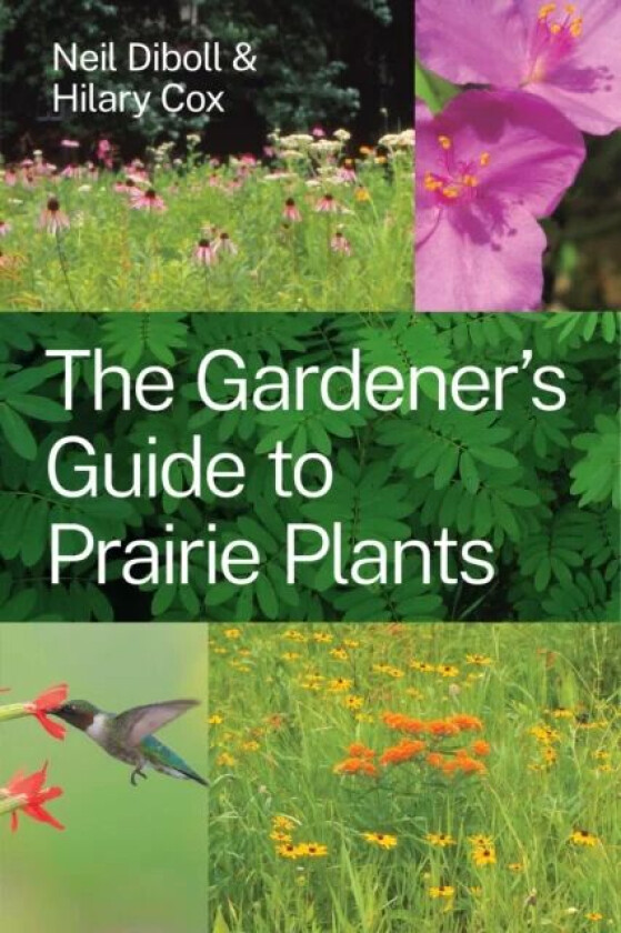 The Gardener's Guide to Prairie Plants av Neil Diboll, Hilary Cox