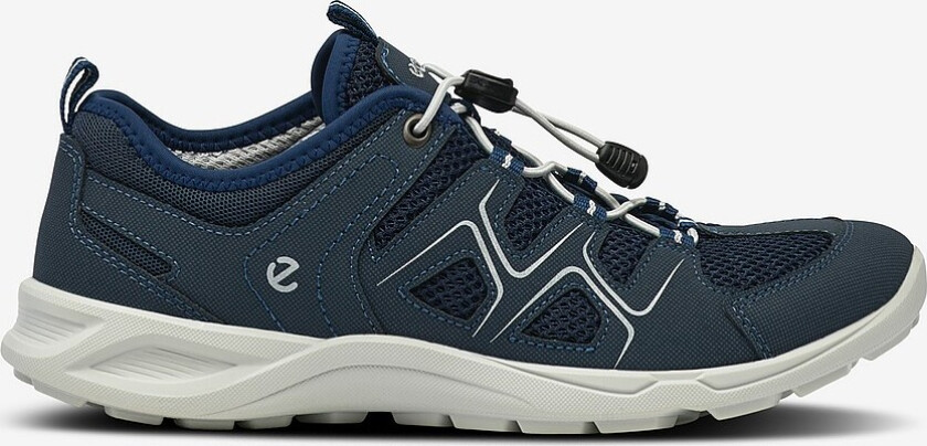 Gåsko Ecco Terracruise LT W - Blå