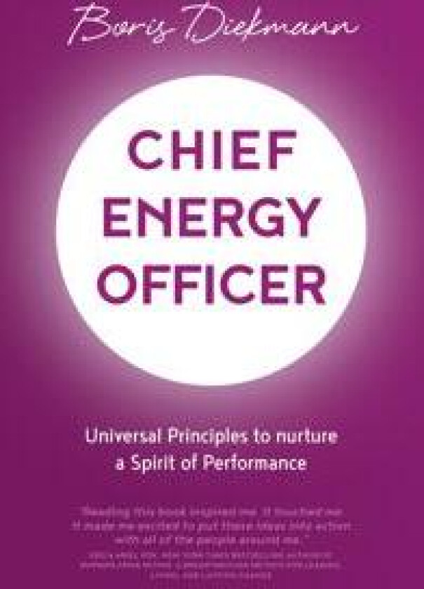 Chief Energy Officer
