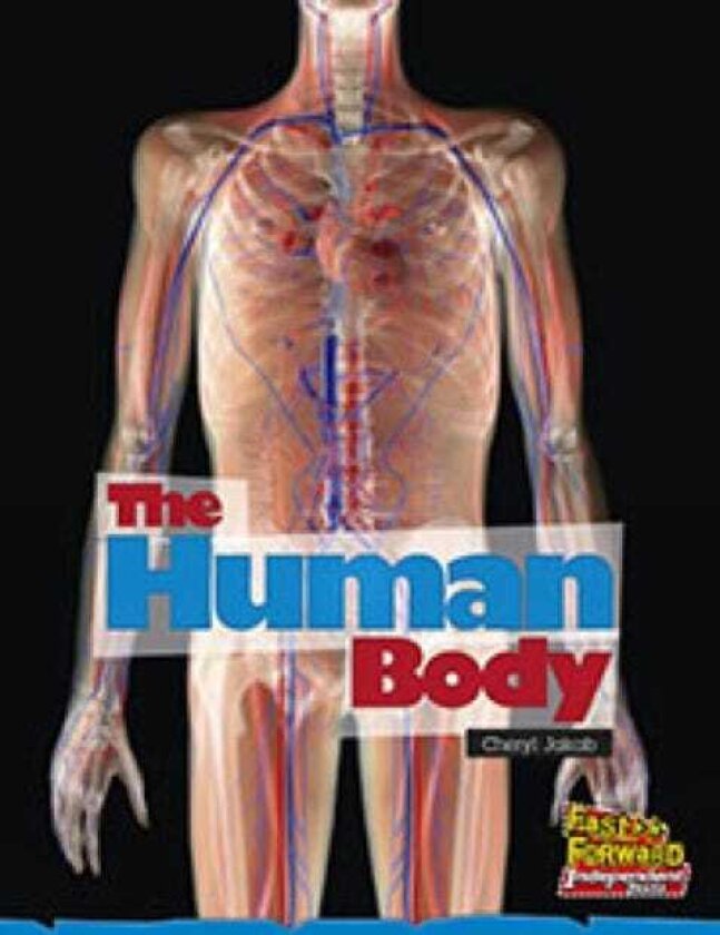 The Human Body