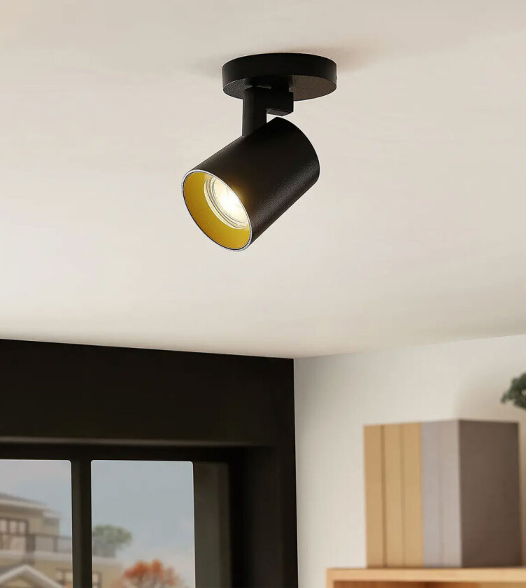 Iavo spot, rund, 1 lyskilde, svart