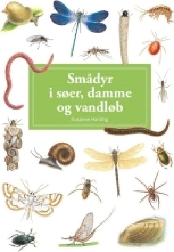 Smådyr i søer, damme og vandløb, display med 10 stk. | Susanne Harding | Språk: Dansk