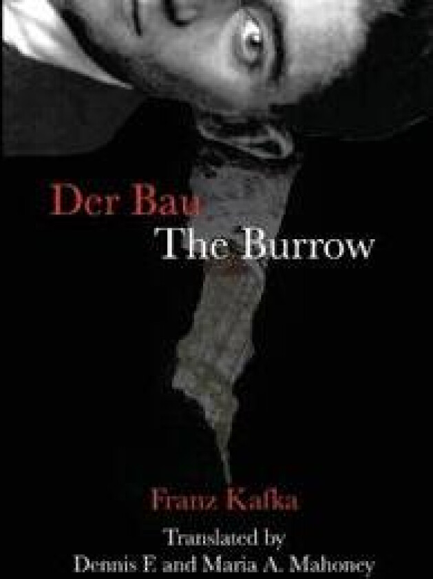 Der Bau/The Burrow
