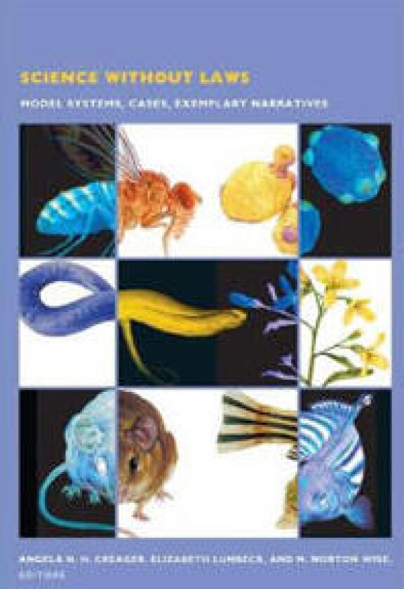 Science without Laws