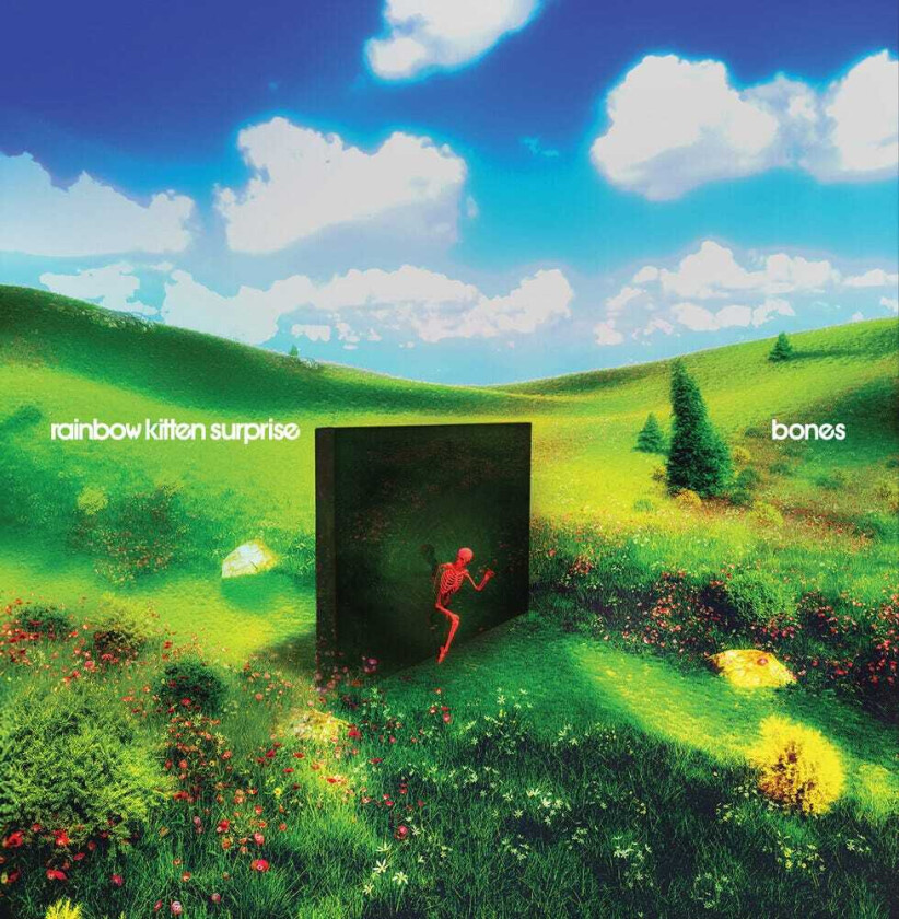 Rainbow Kitten Surprise Bones LP/Vinyl