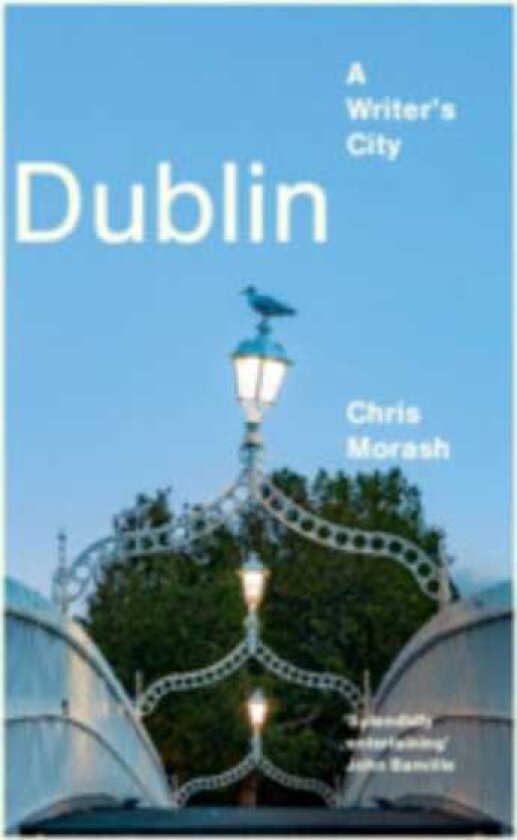 Dublin A Writer's City