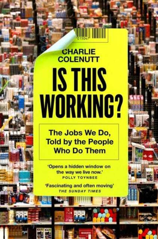 Is This Working? The Jobs We Do, Told by the People Who Do Them