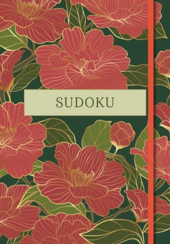 Sudoku Over 200 Puzzles