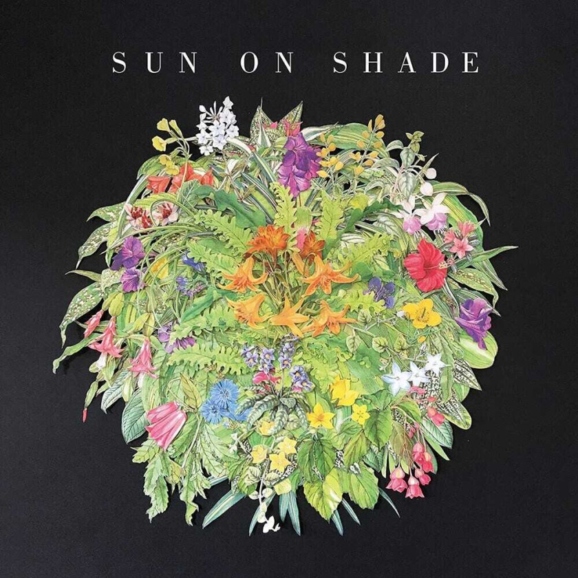 Sun On Shade Sun On Shade LP/Vinyl