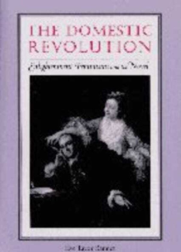 The Domestic Revolution Enlightenment Feminisms and the Novel