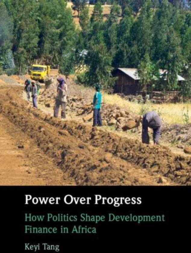 Power Over Progress How Politics Shape Development Finance in Africa