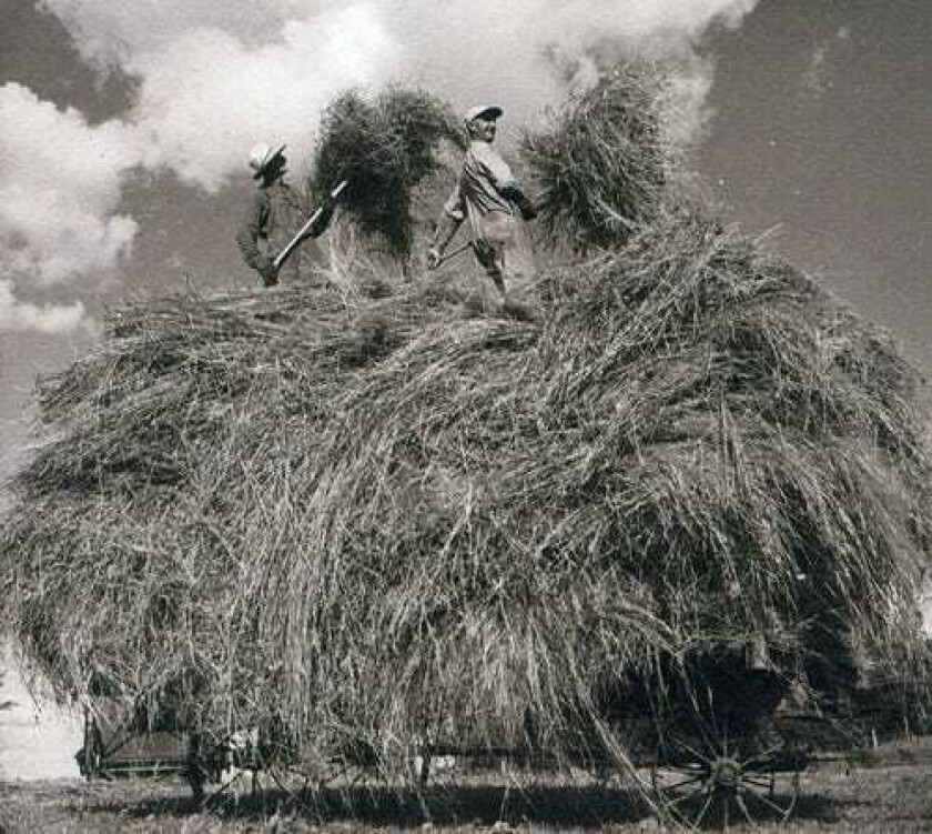 William Elliott Whitmore Field Songs CD