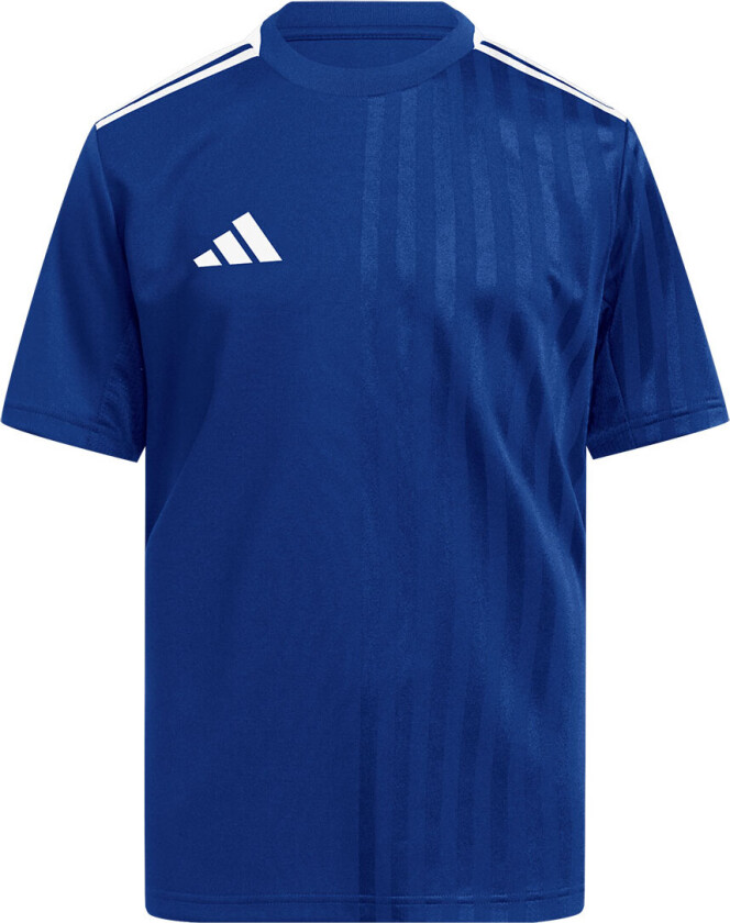 Spillerdrakt Campeon 25 - Blå/Hvit Barn, størrelse 164 cm