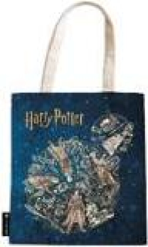 Legends of Hogwarts (Harry Potter Collection) Canvas Bag