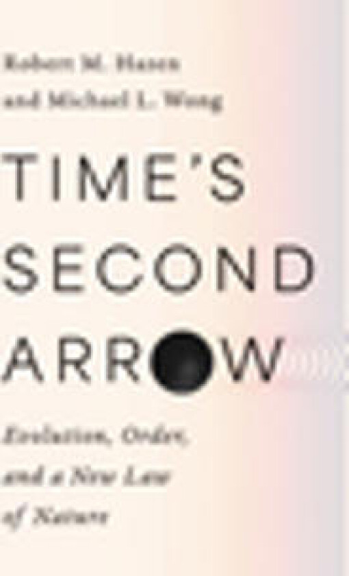 Time's Second Arrow