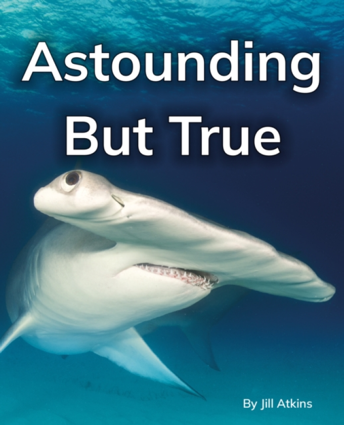 Astounding But True Phonics Phase 5