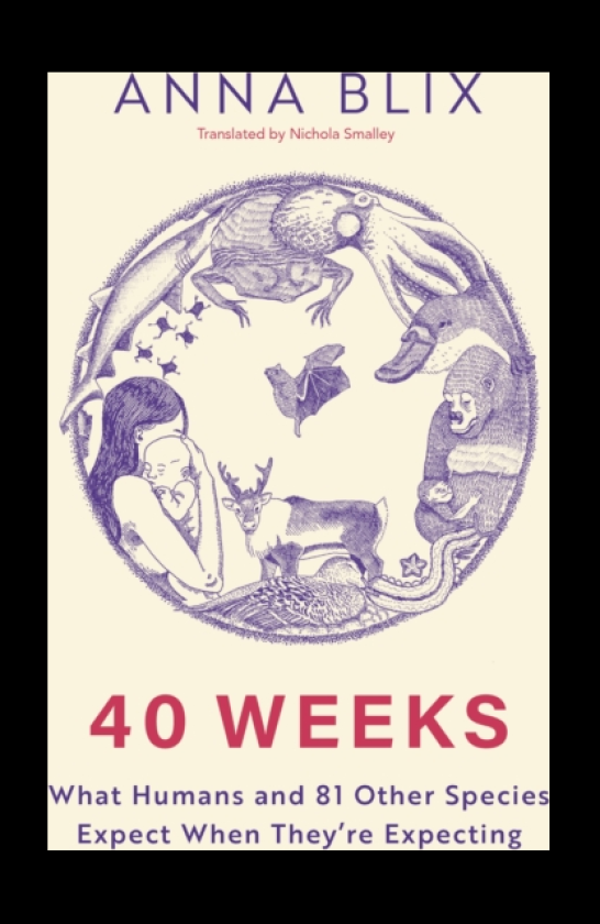 40 Weeks What Humans and 81 Other Species Expect When They're Expecting
