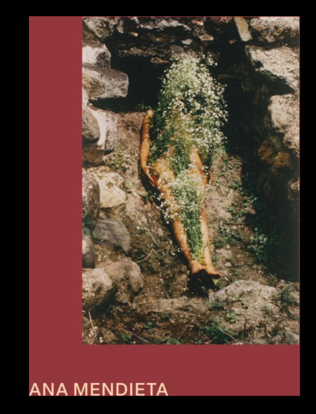 Ana Mendieta