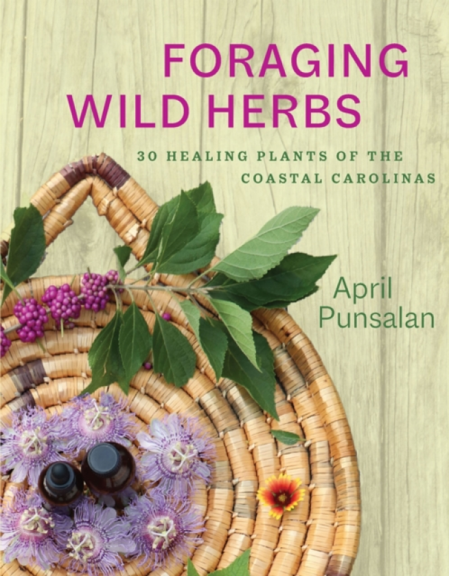 Foraging Wild Herbs 30 Healing Plants of the Coastal Carolinas