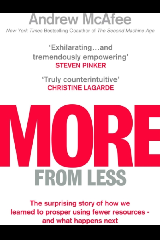 More From Less The surprising story of how we learned to prosper using fewer resources and what happens next