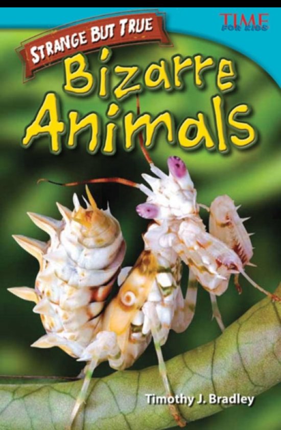 Strange but True: Bizarre Animals Bizarre Animals