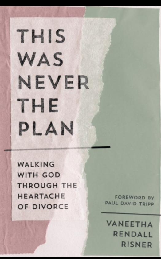 This Was Never the Plan Walking with God Through the Heartache of Divorce